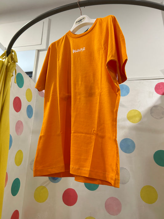 T-shirt Disclaimer